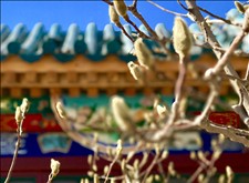 【城市水療設計】北京南宮溫泉養生園設計